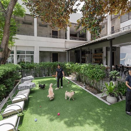 Ketawa Pet Friendly Hotel Chiang Mai Eksteriør billede