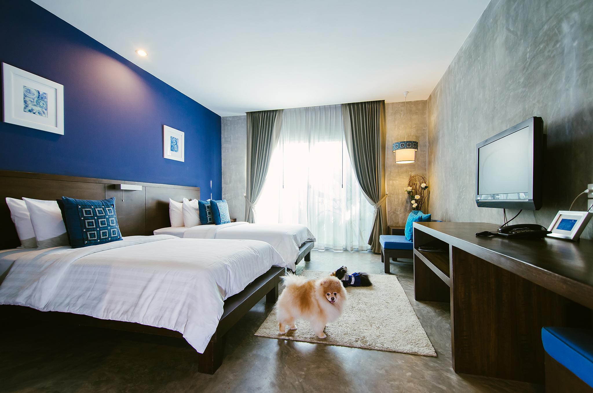 Ketawa Pet Friendly Hotel Chiang Mai Eksteriør billede