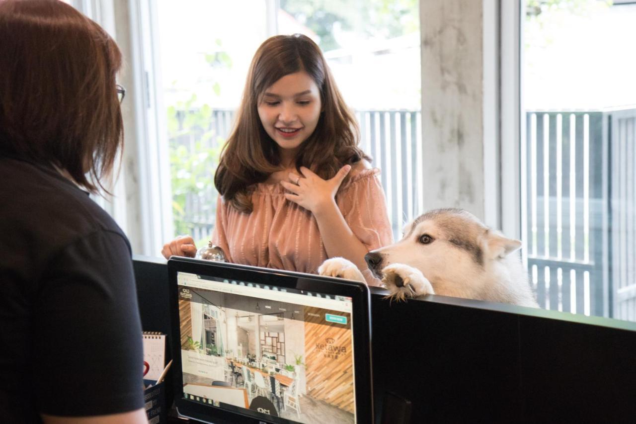 Ketawa Pet Friendly Hotel Chiang Mai Eksteriør billede