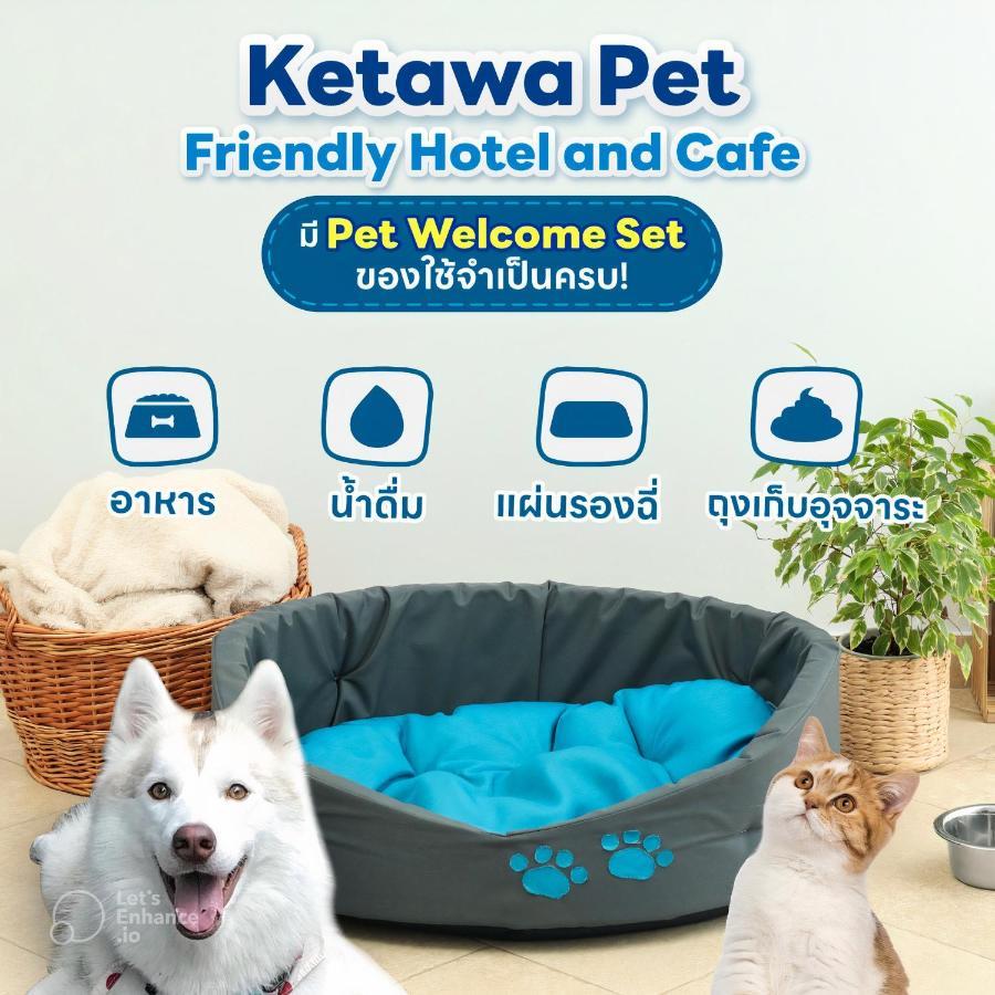 Ketawa Pet Friendly Hotel Chiang Mai Eksteriør billede