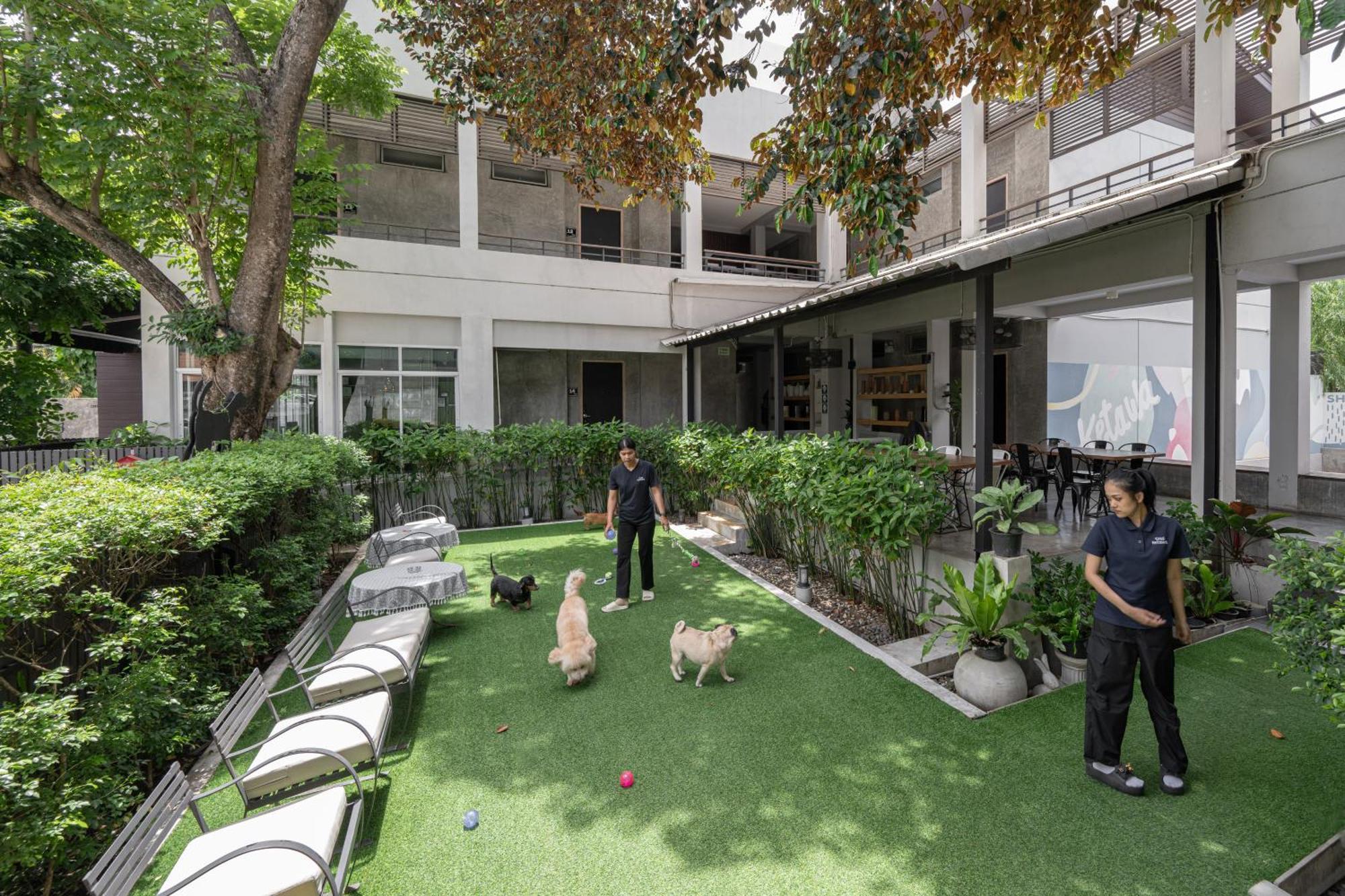 Ketawa Pet Friendly Hotel Chiang Mai Eksteriør billede