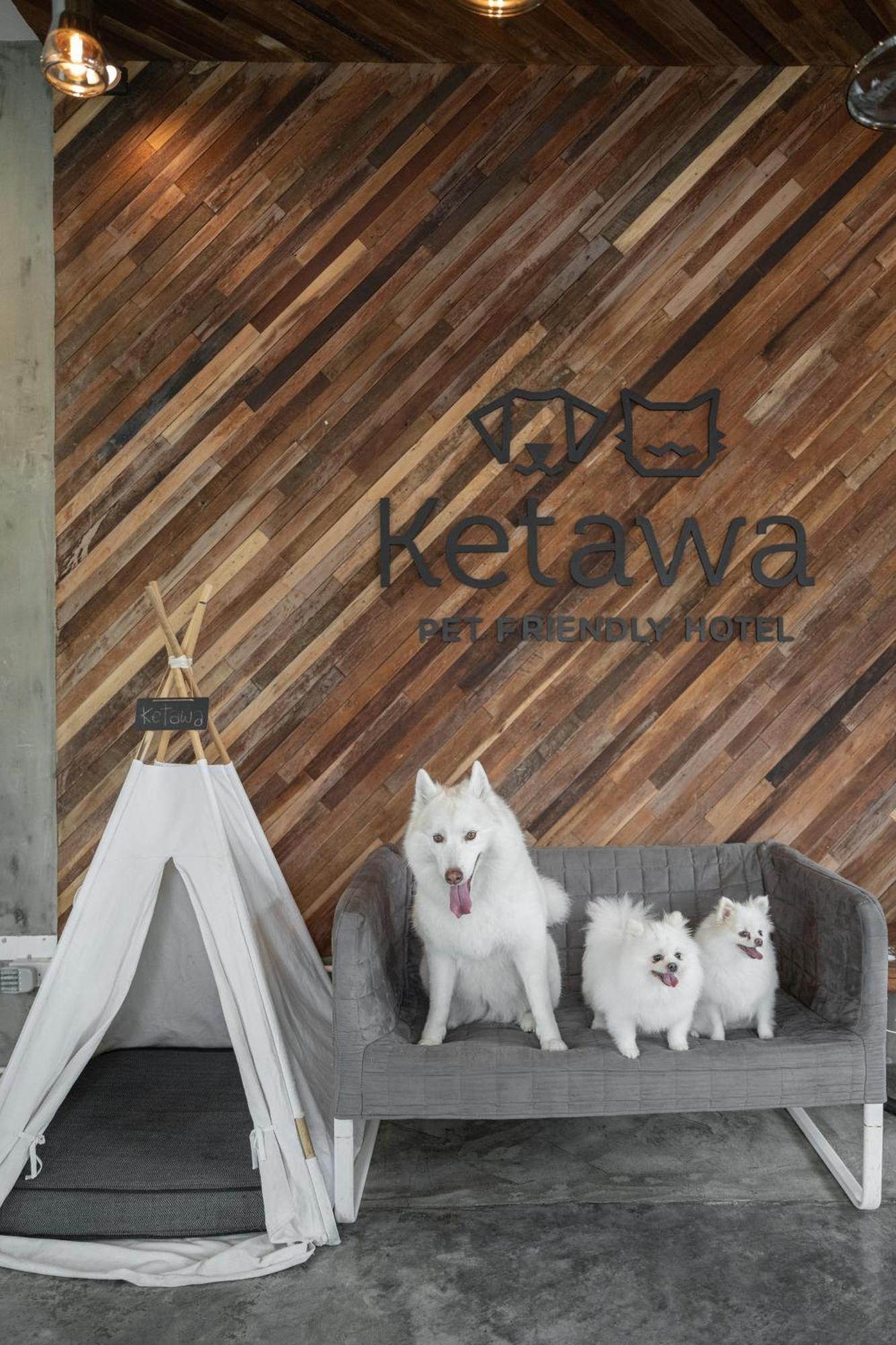 Ketawa Pet Friendly Hotel Chiang Mai Eksteriør billede