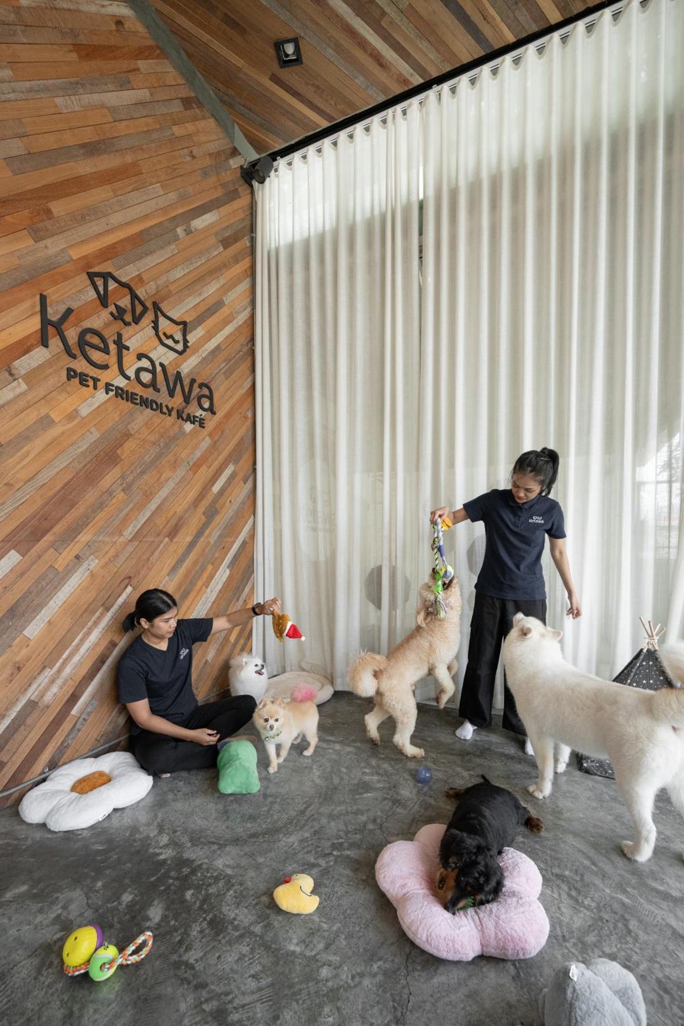 Ketawa Pet Friendly Hotel Chiang Mai Eksteriør billede