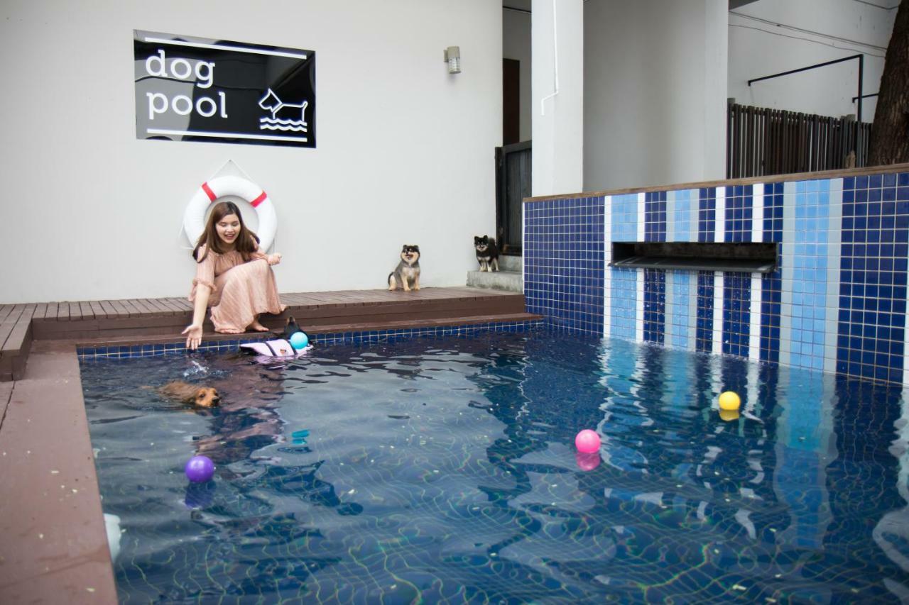Ketawa Pet Friendly Hotel Chiang Mai Eksteriør billede